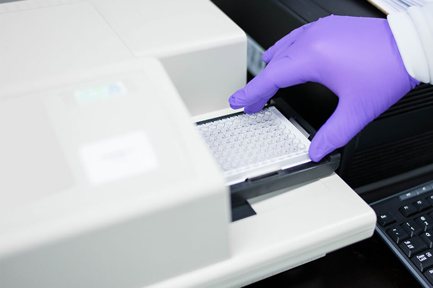Anti-Bacteria Primary Antibodies Inline Anti-Bacteria Primary Antibodies Inline