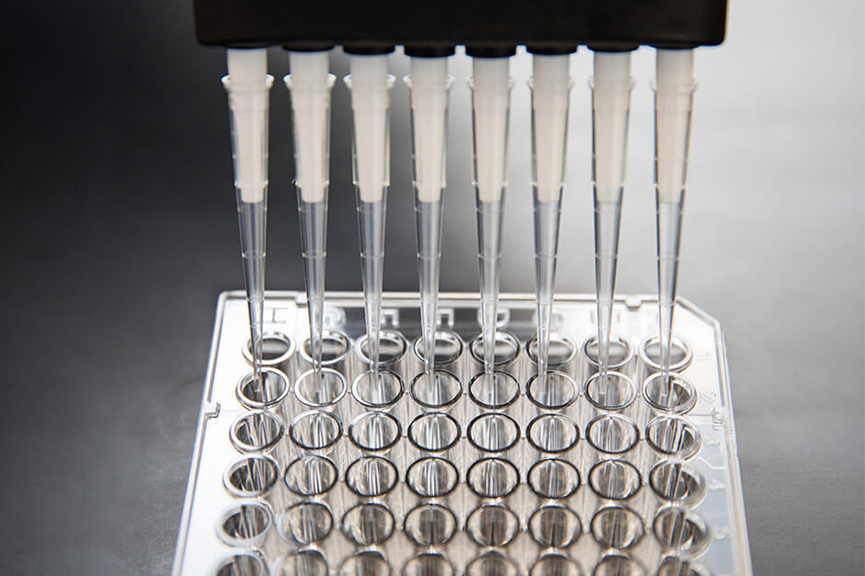 Support Reagents & Accessories Inline Support Reagents & Accessories Inline