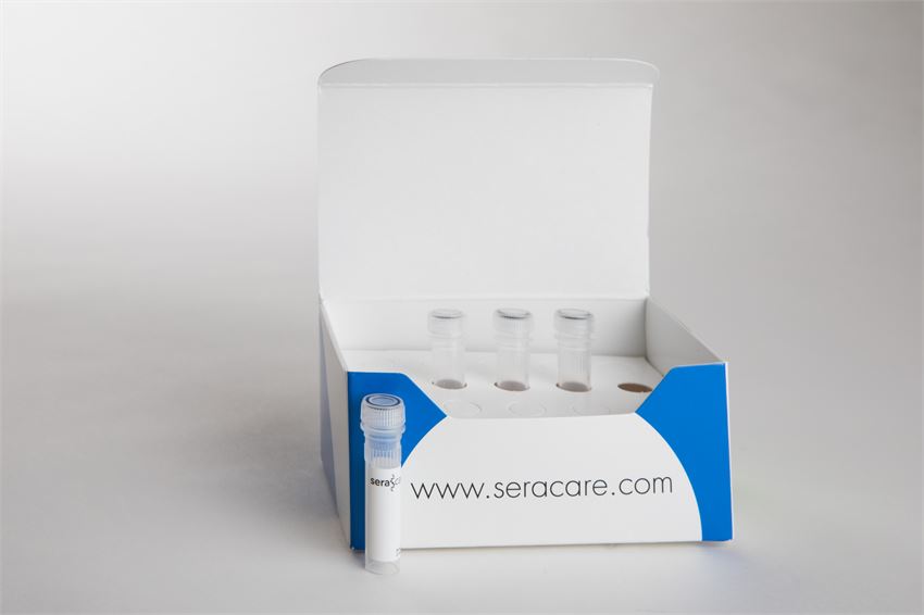 Accurun 445 Herpes Simplex Virus 2 Hsv 2 Reference Materials 4 X