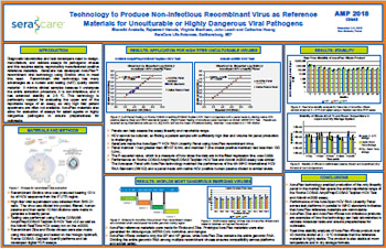 HCV RNA